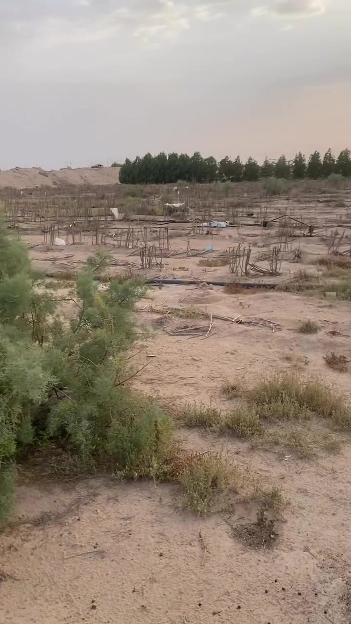 يا الله متاح دوانم حلوات 
العدد ٢ثنينهن سويه 

عل شارع 
عنوان مقابيل لبترو 
يم لتانكي  شارع التانكيً

ستفسار اكثر عل رقم تصل وبيك خير وتدلل

***********بي واتساب
