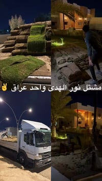 ثيل هندي • تجهيز حدائق • الانبار حديثة