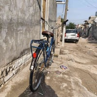 باسكال بطه ياباني العنون بغداد ولشراي ينورنه مال حاويه نضيف الاستفسار ...