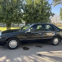 دايو برنس • ١٩٩٥ • الفلوجة النعيمية