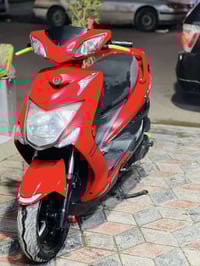 ياباني • أحمر • بغداد المشتل