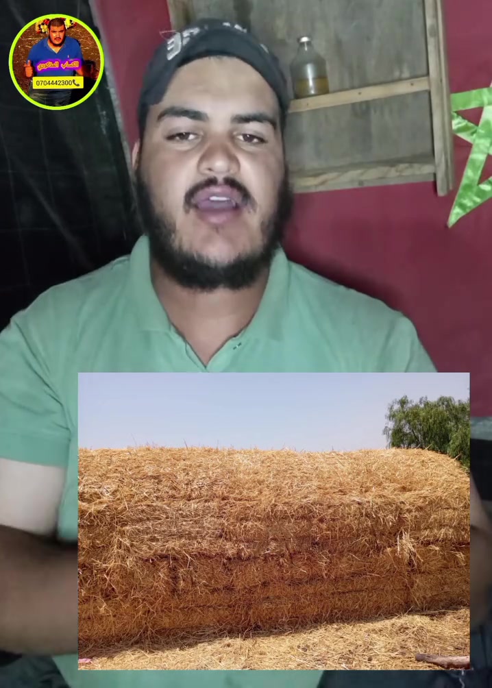 🚨 خبر مفرق الثمن ديال البال ديال الثمن ديال القمح والشعير والفرينه رخيص بزاف في المذاكره هذا هو الثمن دياله 
#الكساب_المدكوري


**إذا كنت صاحب هذا الإعلان وتريد حذفه لأي سبب، رجاءا أرسل رسالة إلى الدعم الفني**