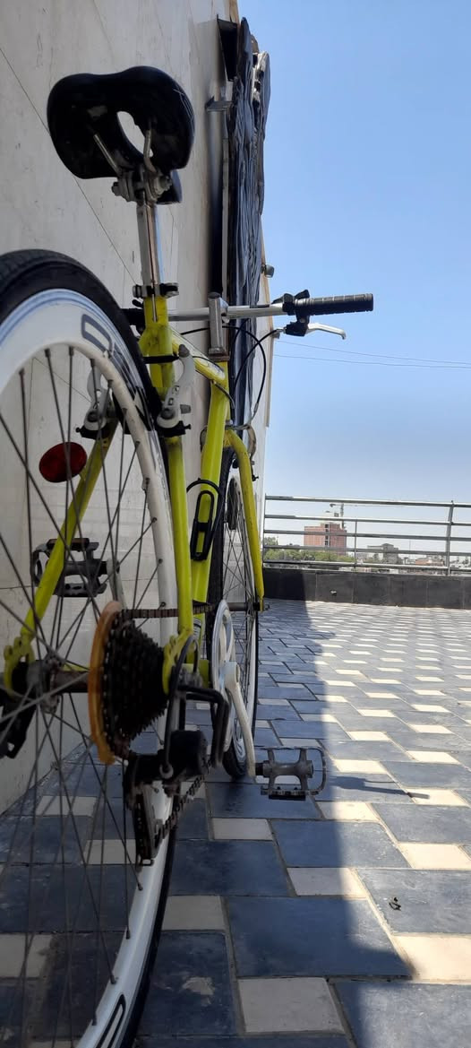 بايك c700من ماركه XEO المعروفه
البايك كسر حاويه 
حجم البايك ٢٨ ارتفاع الفريم 510 
البايك جاهز منكلشي 
خفيف الوزن 
وياله المنيوم طبقتين 
كير سستم SHMANO  7.1 
بريكات بلمكان 
وياله موس
مكان بغداد الاعضميه 
سعره 125 وبي مجال 
للستفسار اتفضل خاص او ***********
