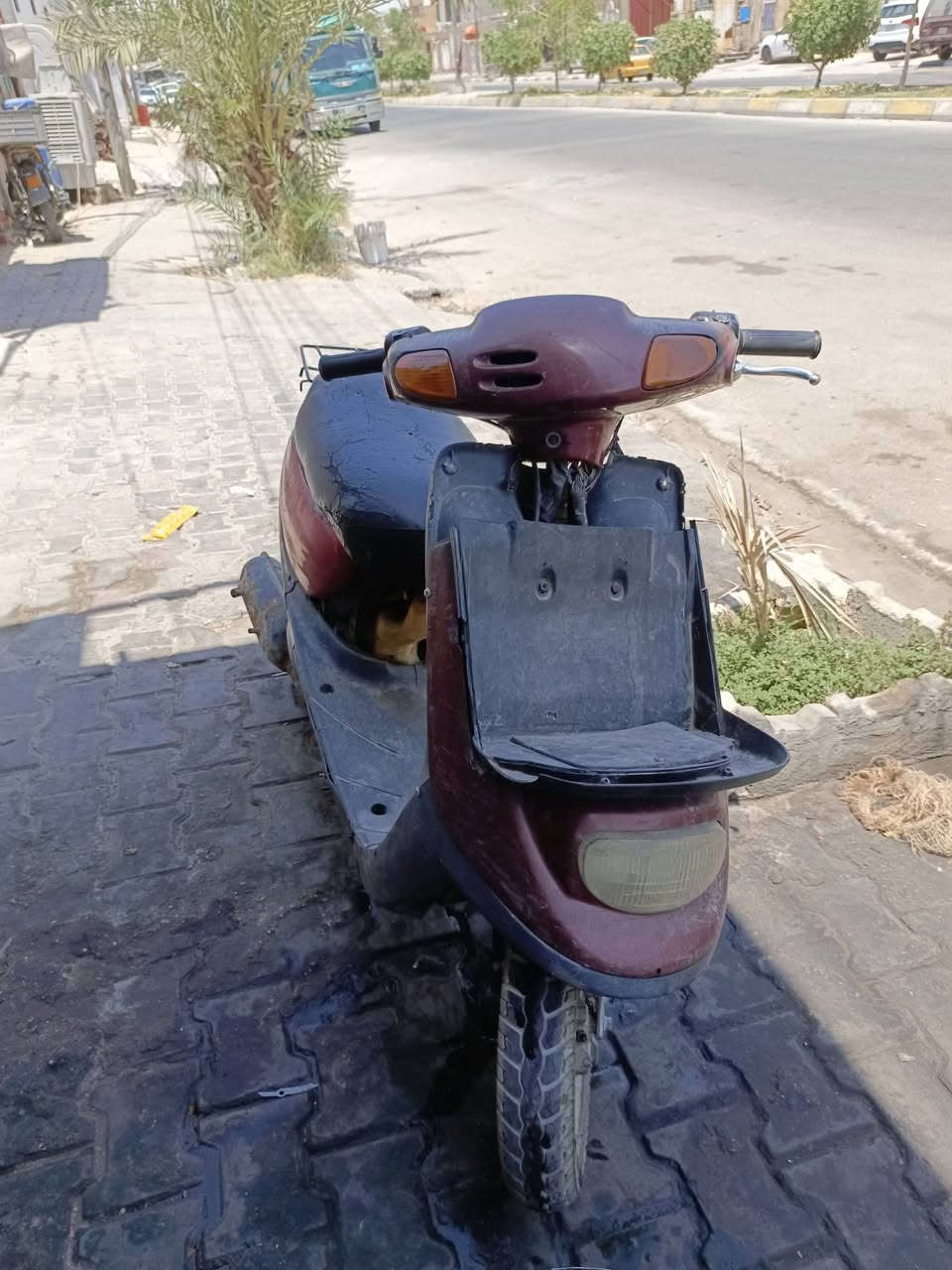 دراجه منغولي للبيع شغاله هندر واحد شاصيه ملحوم مكينه ناعمه سعره 70 وبيه مجال ***********
