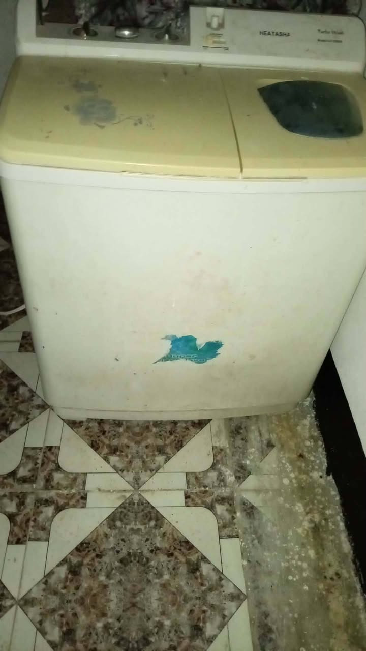 اي لستفسار خاص


**إذا كنت صاحب هذا الإعلان وتريد حذفه لأي سبب، رجاءا أرسل رسالة إلى الدعم الفني**