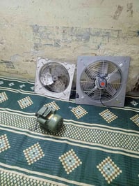 اميوزه • سحابات ٦٠×٦٠ • عجانات شعير