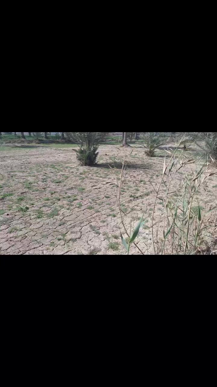 للبيع دونم ٢٥٠٠ متر طابو زراعي سند ٢٥ تحويل بأسم المشتري الواجهه ٦٠ متر ونزال الموقع قناة كربلاء وتنزل طريق سبيس كيلو ونص خدمات كامله عن مركز المدينه ٨ كيلو السعر ١٦٠ مليون مجال بسيط للشراي للإستفسار الاتصال على الرقم ***********/ ابو محمد المسعودي
