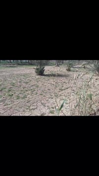 كربلاء • ٢٥٠٠م • طابو زراعي