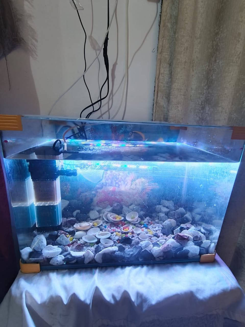 السلام عليكم حوض سمج للبيع كامل مع ملحقاته مكاني نجف للستفسار ع الخاص النجف, العراق


**إذا كنت صاحب هذا الإعلان وتريد حذفه لأي سبب، رجاءا أرسل رسالة إلى الدعم الفني**