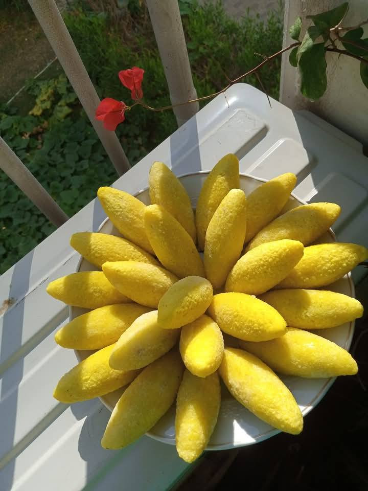 بدون قطرة زيت !
كُبتنا بالدجاج من الألف للياء بدون قطرة زيت 
من التمن العنبر للدجاج المسلوگ 
وتبقى يمكم تردون تقلوها أو تستخدمون القلاية الهوائية 
مُقرمشة وتخبل وتشبع وحتى ممكن تضيفوها باللانچ بوكس لأطفالكم


**إذا كنت صاحب هذا الإعلان وتريد حذفه لأي سبب، رجاءا أرسل رسالة إلى الدعم الفني**