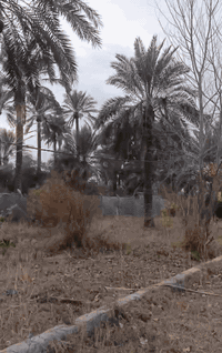 المدائن • دونمين ٥٠٠٠م • طابو ملك صرف