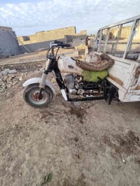 ستوته • مديل ١٥ • أوراق أصولي