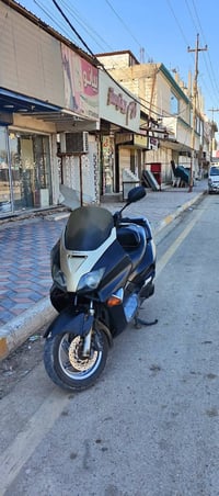 فورزا • مكفوله • اوراق