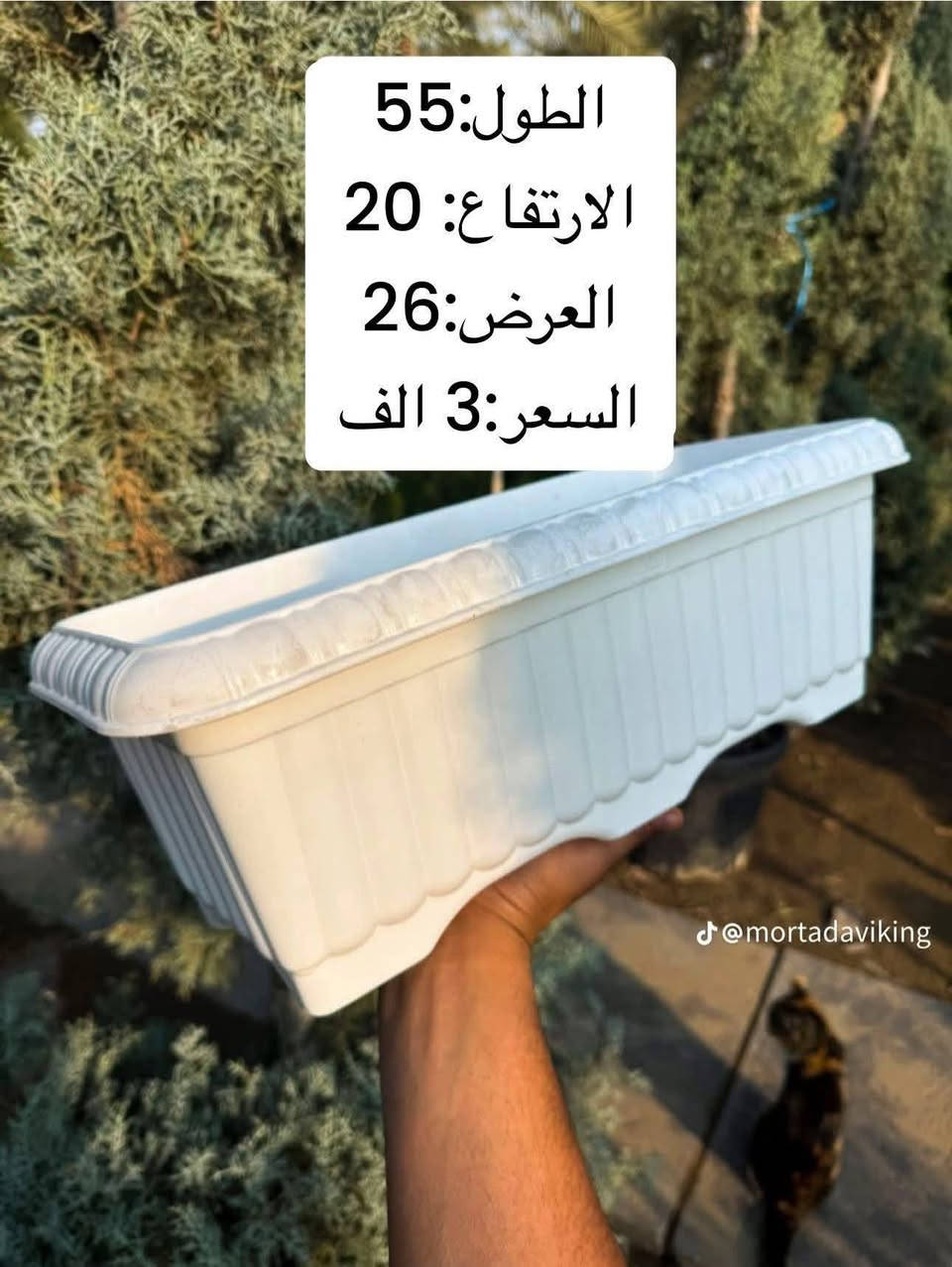 سنادين بلاستك درجة أولى احجام مختلفة ويوجد توصل كافة محافظات العراق
للحجز مراسلة الصفحة او الواتساب ( *********** )
مشتل مرتضى الرئيسي/ حلة طريق كربلاء عمود 96 مقابل أهل الخير 🌿
