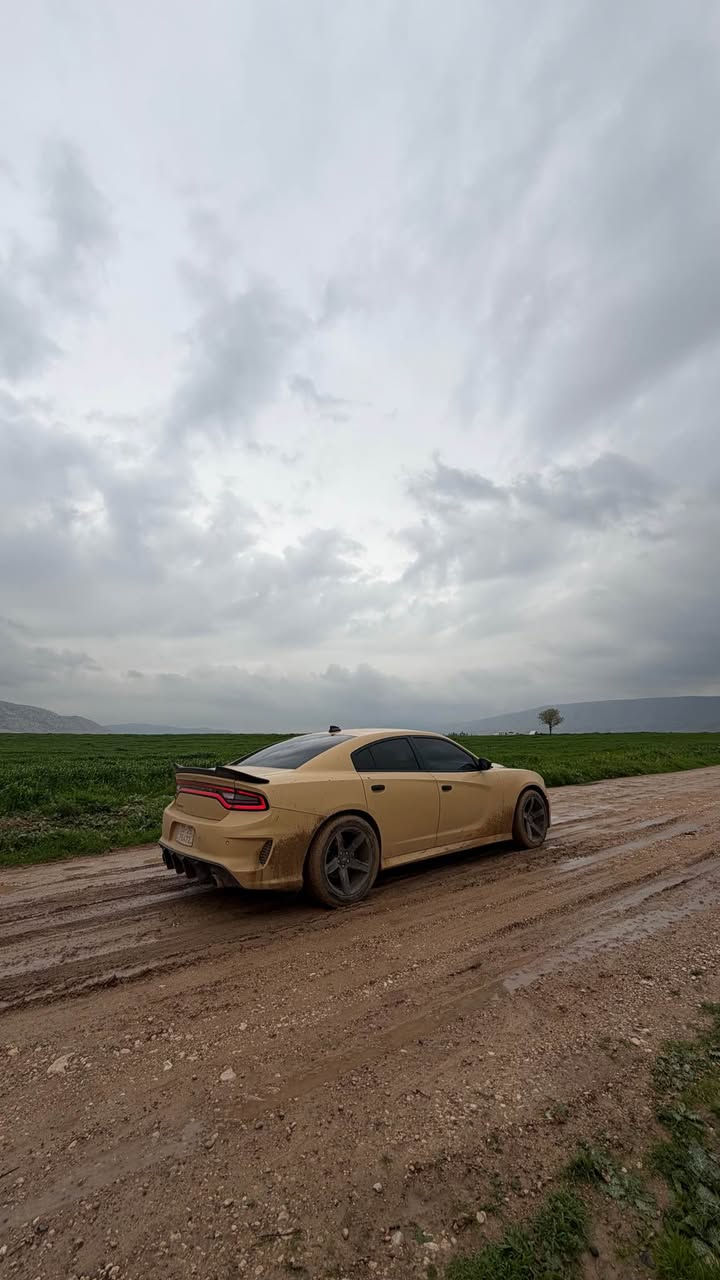 دوج 2023 امامي وا خلفي بدون ضربه لون السياره غريب وا راقي واحد عراق وا رقم سياره جاهز  ***********سعر (192) دهوك, العراق
