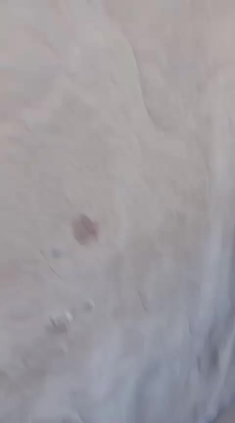 دوشك جربايه مانازل ابد قياس 200 في 180 السعر 80 وشرط تجي شوفه الف وبي مجال لشراي مكان كربلاء حي  العسكري العابد قرب مدرسه سبا


**إذا كنت صاحب هذا الإعلان وتريد حذفه لأي سبب، رجاءا أرسل رسالة إلى الدعم الفني**