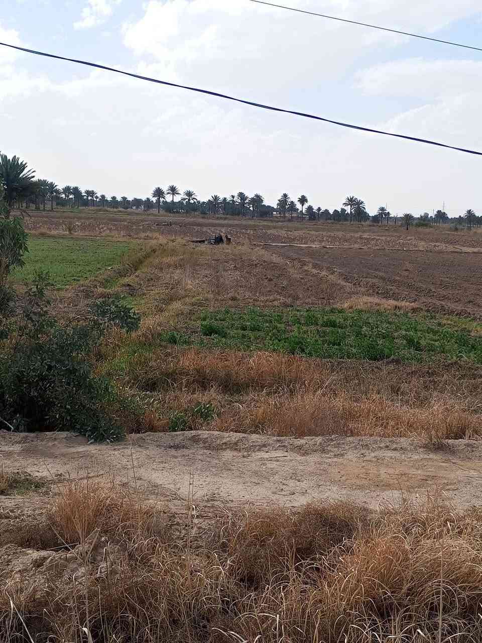 سلام عليكم ورحمه من رخصت الادمن المحترم يوجد نص دونم عقد زراعي ع شارع العام خلف جوه العدنان الاتصال *********** واتساب
