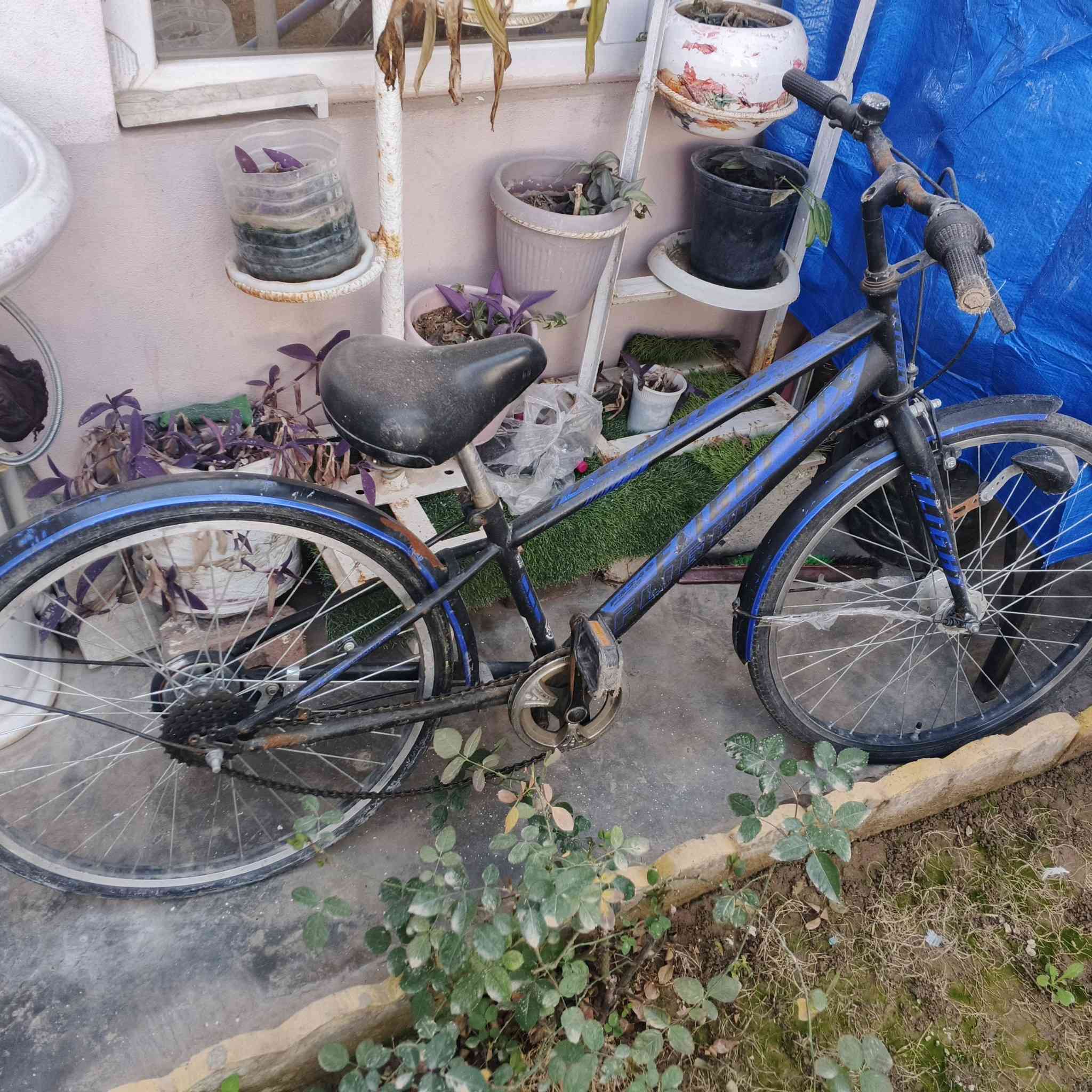 هذني البايسكلات واحد تايره الخلفي ايطخ وعفته على حطته والثاني بي بنجر بس الي ايريدهن راسلني خاص


**إذا كنت صاحب هذا الإعلان وتريد حذفه لأي سبب، رجاءا أرسل رسالة إلى الدعم الفني**