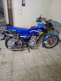 تايجر • موديل 25 • وضع الشركة