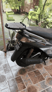 سكنس فحل للبيع بلادية مكفولة من الطول للطول السعر  950رقم ***********
