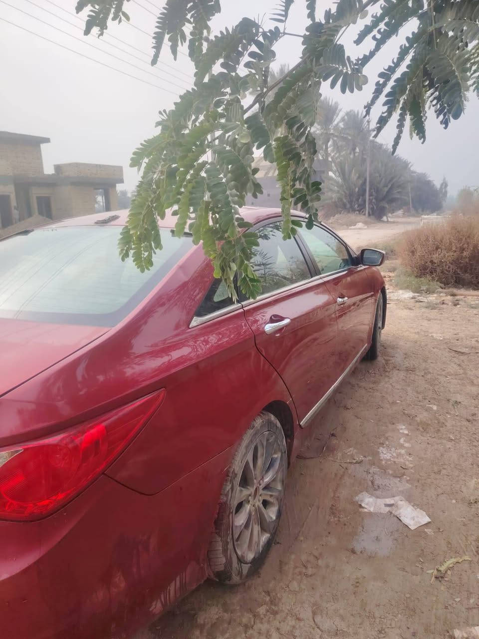 السلام عليكم
سوناتا موديل ١١ فول مواصفات رقم بغداد انكليزي موديل 11 سنويه للسنة ٢٠٣٠ السعر ٩٥ للاستفسار الاتصال على الرقم ***********
