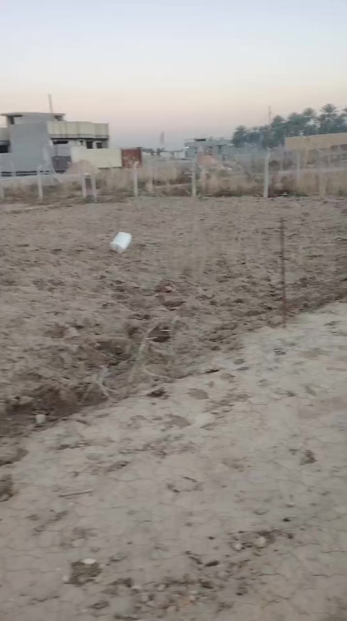 الستفسار ***********
