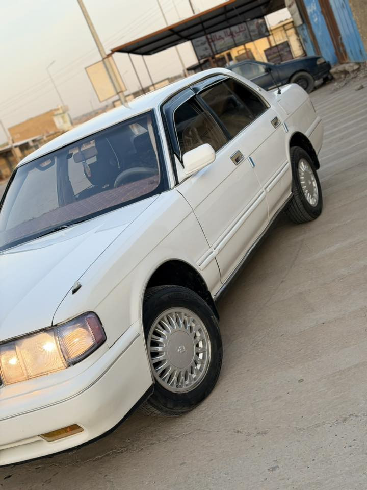 السلام عليكم للبيع بسعر مناسب ب65 وبيها مجال ويرهم مراوس
ارنب للبيع بلادي يسرى
مديل 92
  رقم صلاح الدين  بسمي سنويه  
موصفات 
فول اتوماتيك 
تبريد تدفى شغال 
سنتر لوك شغال 
غرفه جديده 
بطاين جدد 
صدر جديد 
تايرات جدد
 ايسر بلادي محرك بطه ٢٥٠٠  وكير بطه  تخم تاير مصبوغه احزام شرط بدون دواخل او دكت جاكوج 
مكفوله من كص ونقل جثه 
المكان صلاح الدين (بيجي)
 السعر 65 بيها مجال بسيط 
***********
***********
