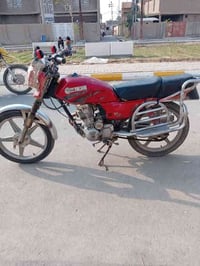 فيومه • ٢٠١١ • كوت شيخ سعد