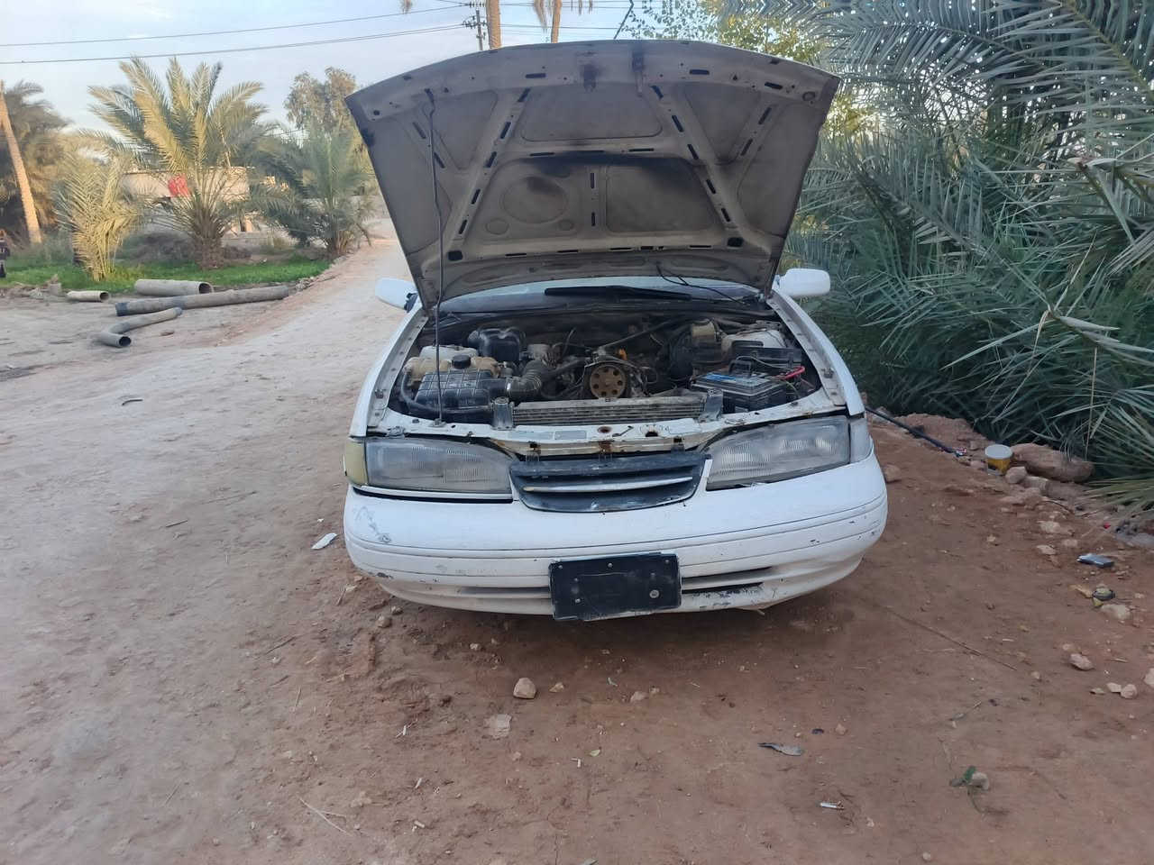 سلام عليكم ورحمة الله وبركاتة مرخصت لادمن دايو برنس فراشه للبيع سياره كهربايت جاهزه سياره صارله شهر ما مشتغله رقمه قادسيه نكليزي بسمي مداور ثاني يوم سعره 20وبيه مجال حق الجيه ***********
