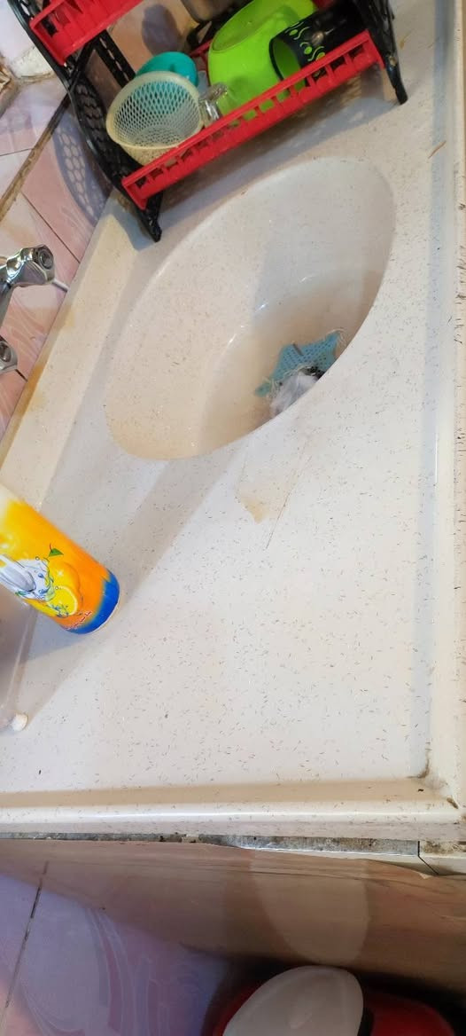 سنك مرمر للبيع نضيف جدا سعره 100وبي مجال


**إذا كنت صاحب هذا الإعلان وتريد حذفه لأي سبب، رجاءا أرسل رسالة إلى الدعم الفني**