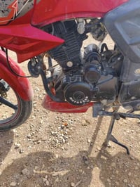 دراجة خفاش • موديل 23 • بأوراق