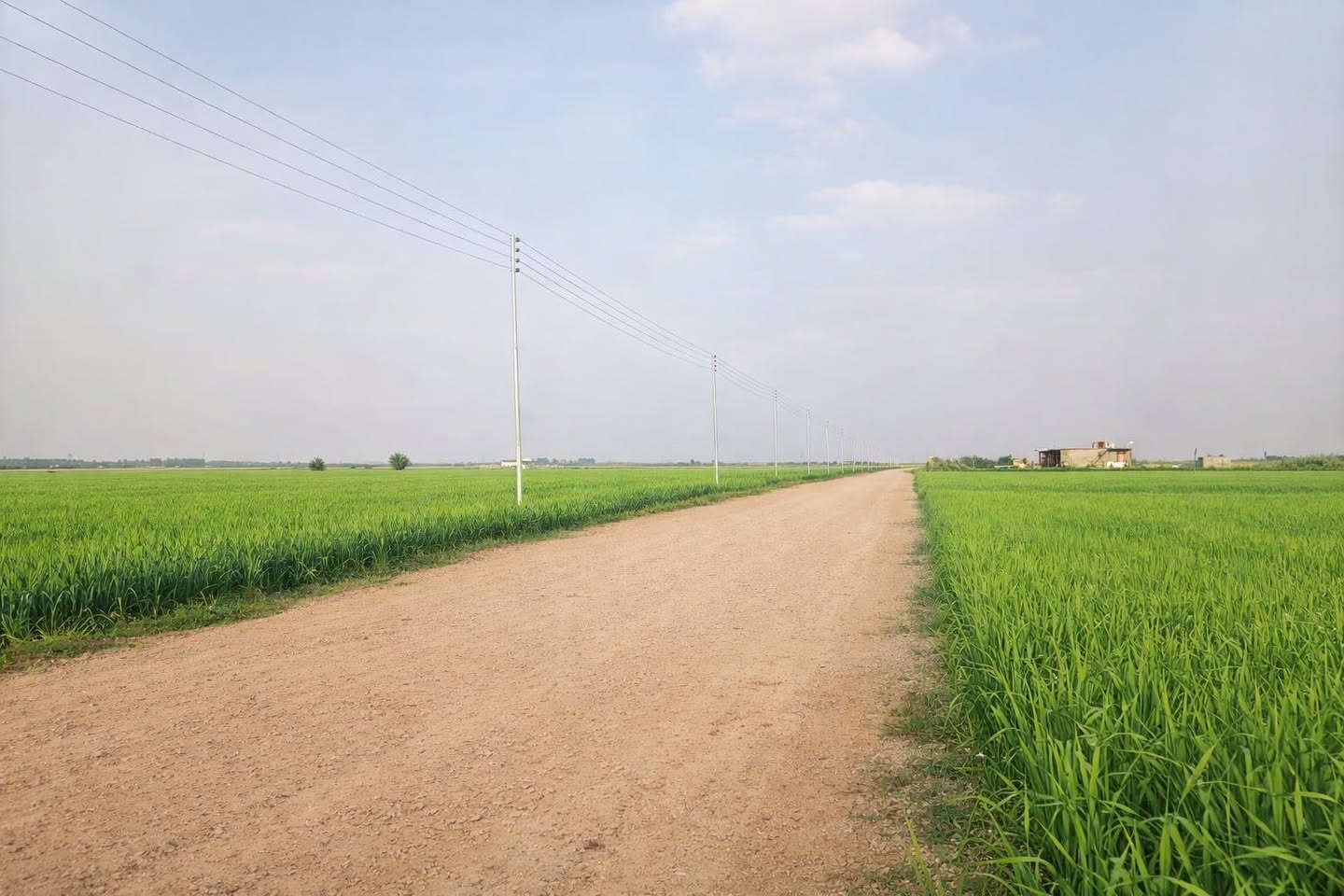 السلام عليكم دوانم طابو سند 25 📋تحويل على طابو المدائن 
موقع 📍مميز النشاء مزرعة خاصة بك أو مخزن (منطقةالجسر الفرنسي )***********
