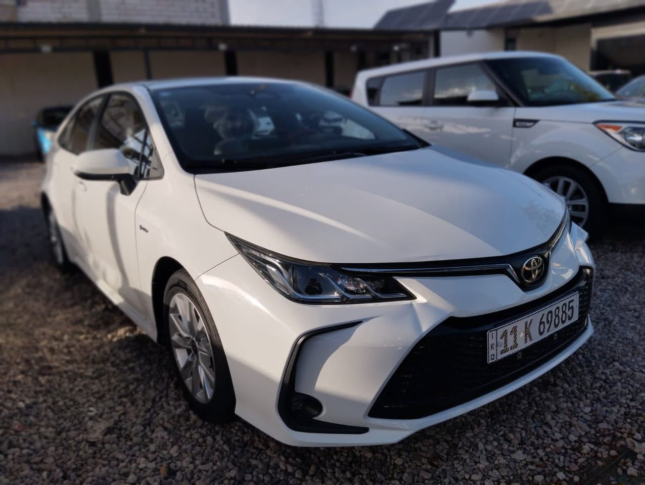 كورلا خليجي 25مكفولة ماشية 26فول مواصفات بغداد بسمي السعر 155 مراوس حسب القناعة مكاني كربلاء ***********
