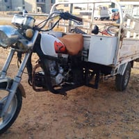 ستوته • شرط • تواير جديد