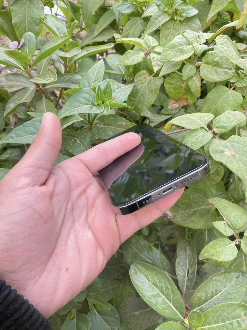 آيفون 12 برو ماكس ذاكره 256 بطاريه 70 وتر بروف مامفتوح نموذج mنضافه 100‎%‎ ملحقات كامله سعر 425 المكان النحف الكوفه ***********
