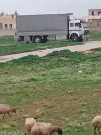 البيه ١٢١٧ • متور ٢٠ • قير ٦