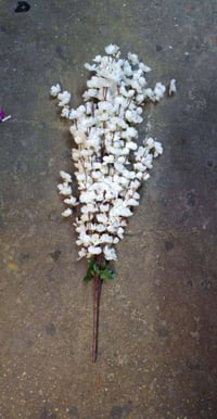 ورد اغصان • حجم كبير • مستخدم