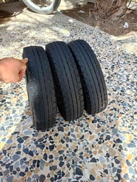 تخم تاير جبلي للبيع نضيفات 07733699192