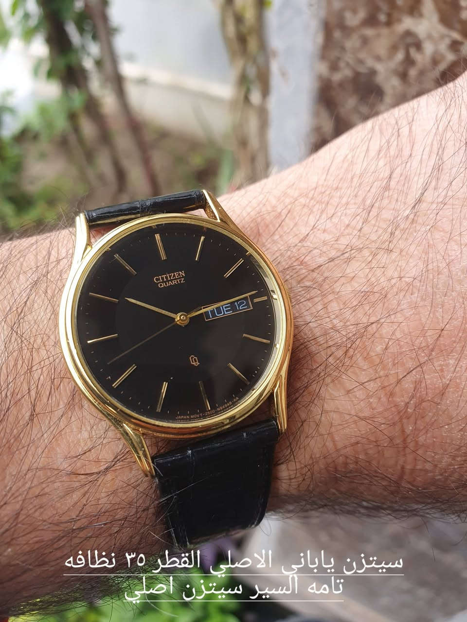 عشاق السيتزن الكلاسيك التفاصيل وصور اكثر داخل البيج 
Bawaee watches او الاتصال واتس آب 
***********
