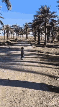 بستان ٢ دونم • ملك صرف • شرق جانب الرصافه