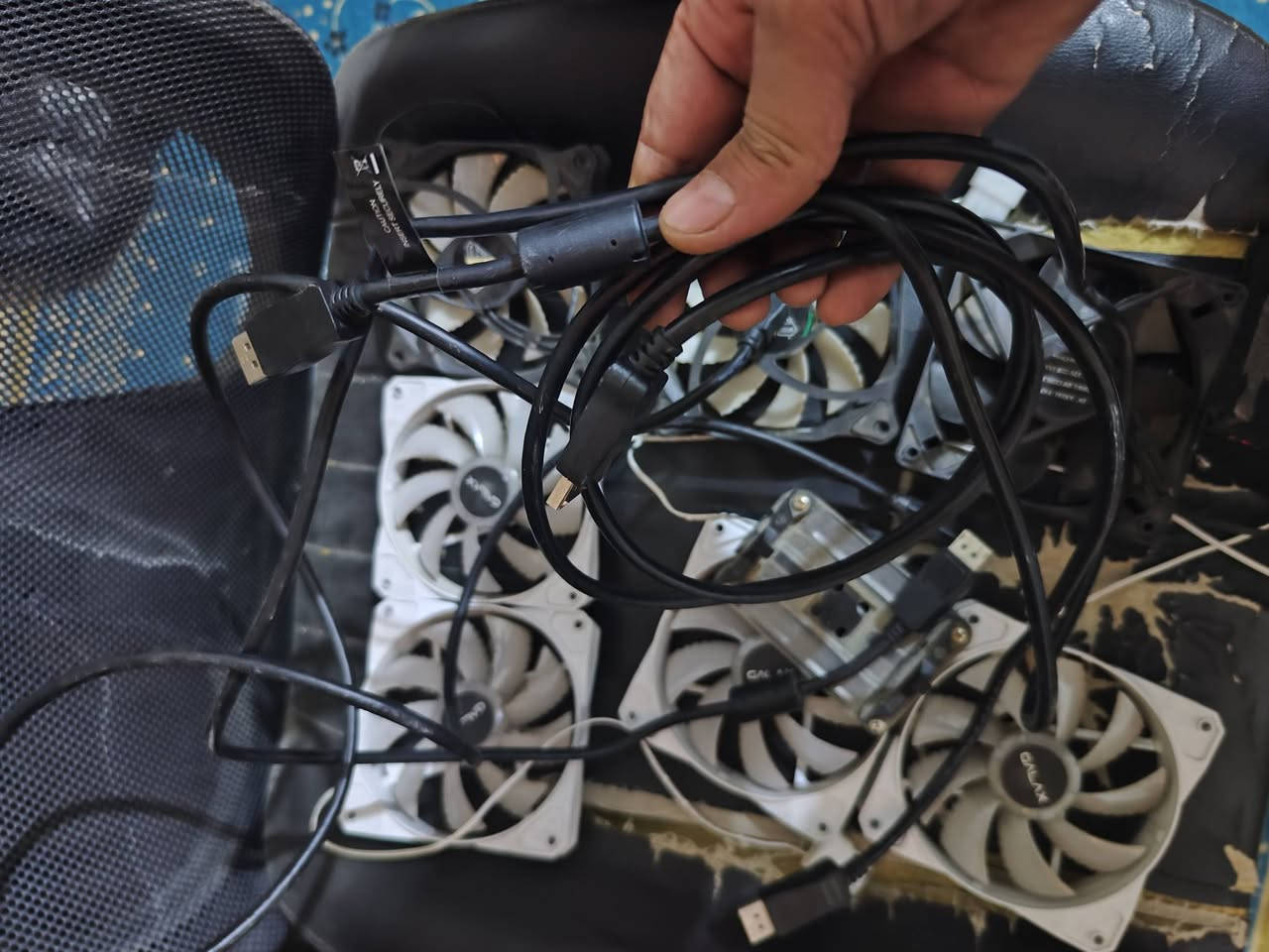 مرحبا اخوان
7 مراوح 6منهم LED يعني الاضاءة ثابته
هاب فانات.
قطعة مال معالج رايزن AM4
كيبلات دسبلي بورت اصلية كيبل طاقة للكيس 
كلهن بلاش بدون مقابل للي محتاجهم.
مكاني بغداد الزعفرانية


**إذا كنت صاحب هذا الإعلان وتريد حذفه لأي سبب، رجاءا أرسل رسالة إلى الدعم الفني**