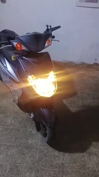 سكنس فحل • لون حلو • ماشيه ٣١