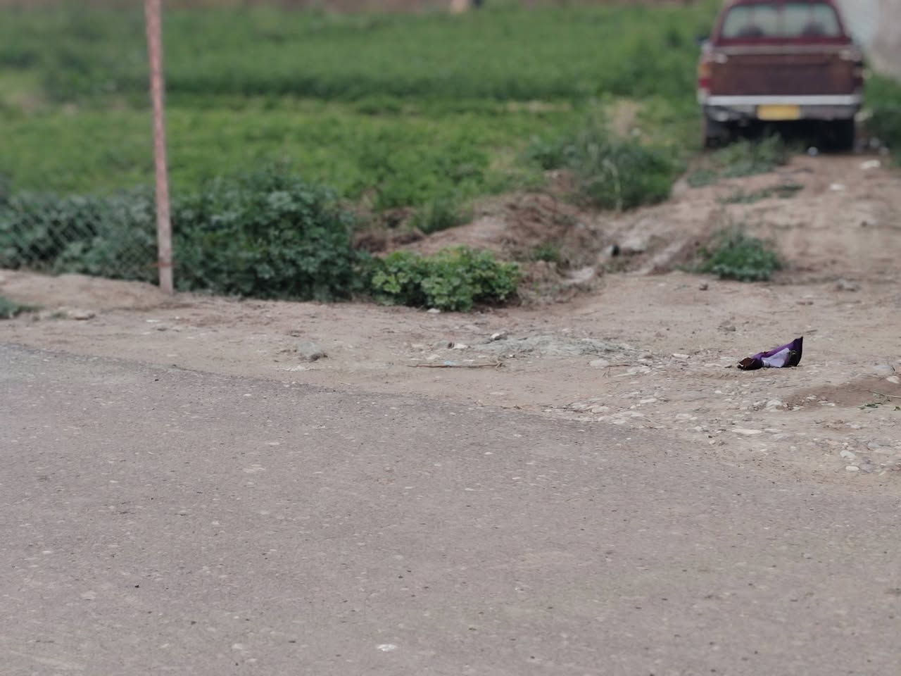 يالله سلام عليكم قطعة أرض للبيع بغداد المدائن منطقه بانوراما على شارع رئيسي خدمات كامله تبليط كهرباء ماء مجاري مساحه الأرض ٤٠٠ م واجهيه ١٠ ونزال ٤٠ بسعر جدا جدا مناسب ٦٠ وبيهة مجال خلف ملعب نخيل شارع رئيسي زراعي للاستفسار الاتصال على الارقام *********** أو *********** وات ساب
