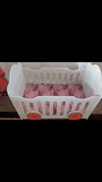 جربايه طفل من حديث ولاده لحد  اربع سنوات جديد استخدام كلش قليل مع مندر...