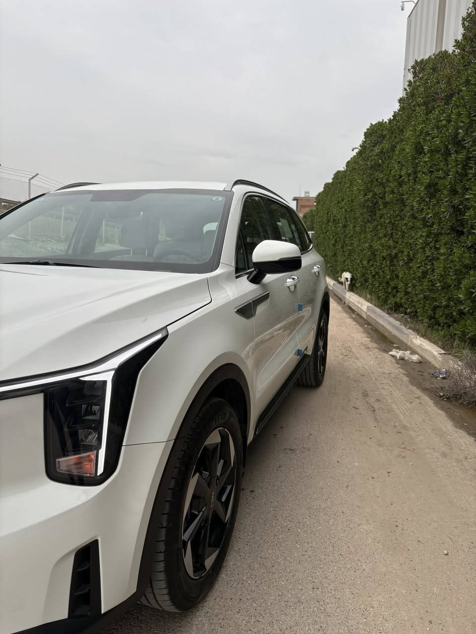 سورنتو موديل 2024
4 سلندر 2500
السيارة مكفولة من الضربة 
السيارة دولية مو NM ، بعدها بالضمان من سنة الصنع لمدة خمس سنوات ( كير ، محرك ، كهربائيات 
السيارة ماشية :- 23 الف وقابل للزايدة 
المواصفات :- 
كشن السايق كهرباء 
حساسات امامي
حساسات خلفي 
الصندوق كهرباء ( فتح الصندوق من البصمة ) 
تشغيل عن بعد 
بيها ترحيب من توصل يم السيارة
شاحن لاسلكي 
شاشة كبيرة ( نضام كاربلي ) 
كير عصة …! 
السعر 268 ورقة 
المكان :- بغداد الدورة شارع ابو طيارة
للاستفسار  :- ***********
