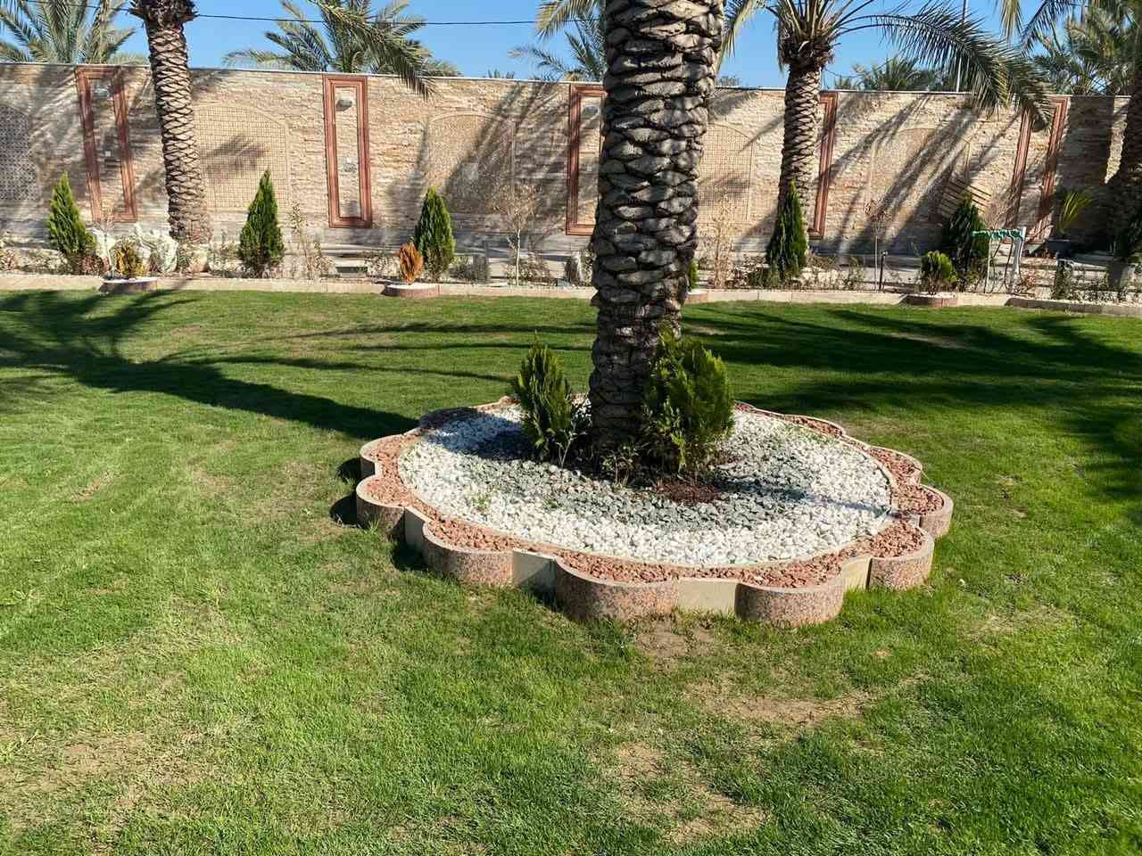 سلام عليكم ورحمه الله وبركاته موجود حدقجي شغل درجه اولى تنضيف تقليم الأشجار الصغيره  والكبيره وقلب التربه وقطع الأشجار الكبيره والصغيره وتنضيف الحدائق العامه ومعالجة امراض الاشجار الصغيره والكبيره وتصميم الحدائق العامه والمساجد مجانن عمل ***********ابوحسام
