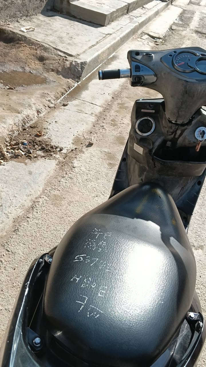 سكنس فحل مكفوله مكينه وكفر مكاني مدينه الصدر 
650 بيهه مجال بسيط 
***********
