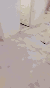 طابو • ١١٥م • ناصريه لفداء