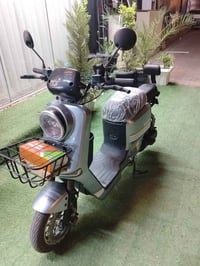 بايسكل شحن • ريان R900 • ٧٥حقيقي