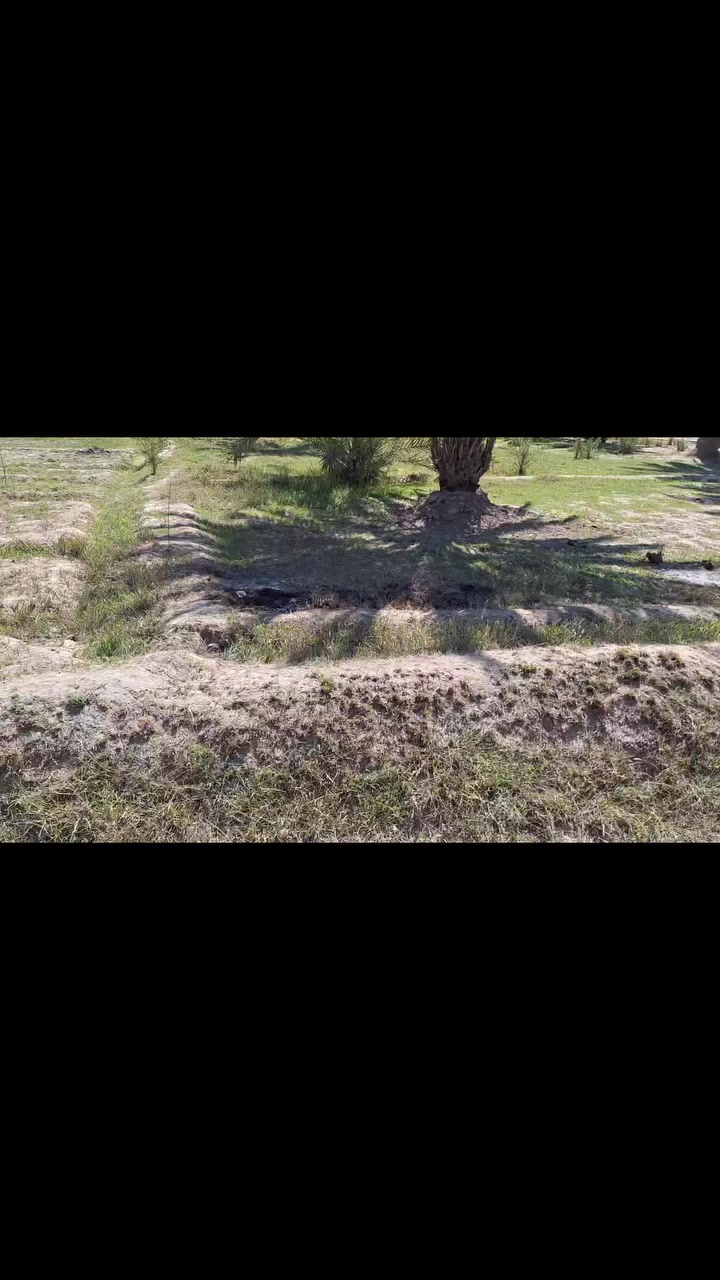 للبيع نصف دونم  ١٢٥٠ متر عقد ١١٧ مفوض بالطابو الواجهه ٢٤ متر ونزال ٥٢ م خدمات كامله الموقع كربلاء العطيشي حولي مستشفى الحسينيه وتنزل ٢٥٠ متر للارض عرض الطريق النازل ١٠ متر الطريق الفرعي فاصل بين الطابو الصرف والأرض  يعني الحي الطابو صرف بوجه الأرض السعر ٤٣ مليون مجال بسيط للشراي للإستفسار الاتصال على الرقم ***********
ابو محمد المسعودي
